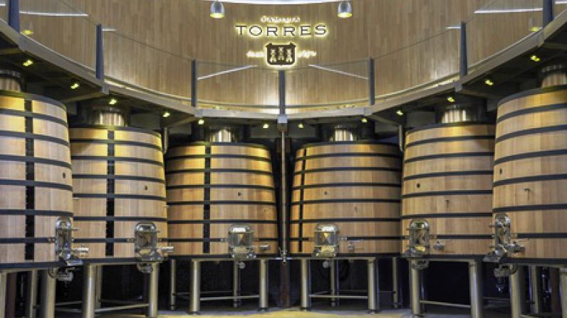 Familia Torres expects to increase its sales by 7% in 2024