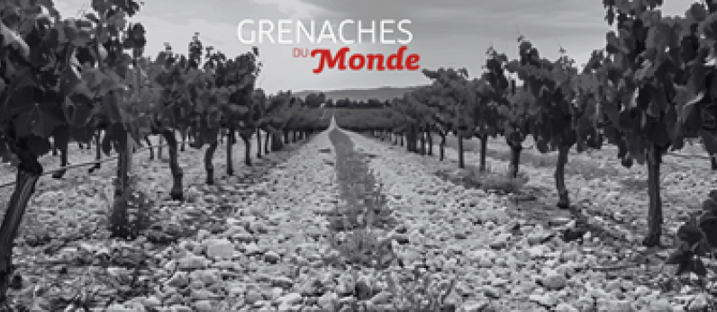 Grenaches du Monde: Destination Cariñena, European city of wine and Zaragoza, World Capital of Grenache