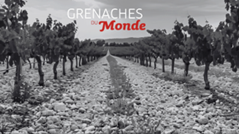 Grenaches du Monde: Destination Cariñena, European city of wine and Zaragoza, World Capital of Grenache