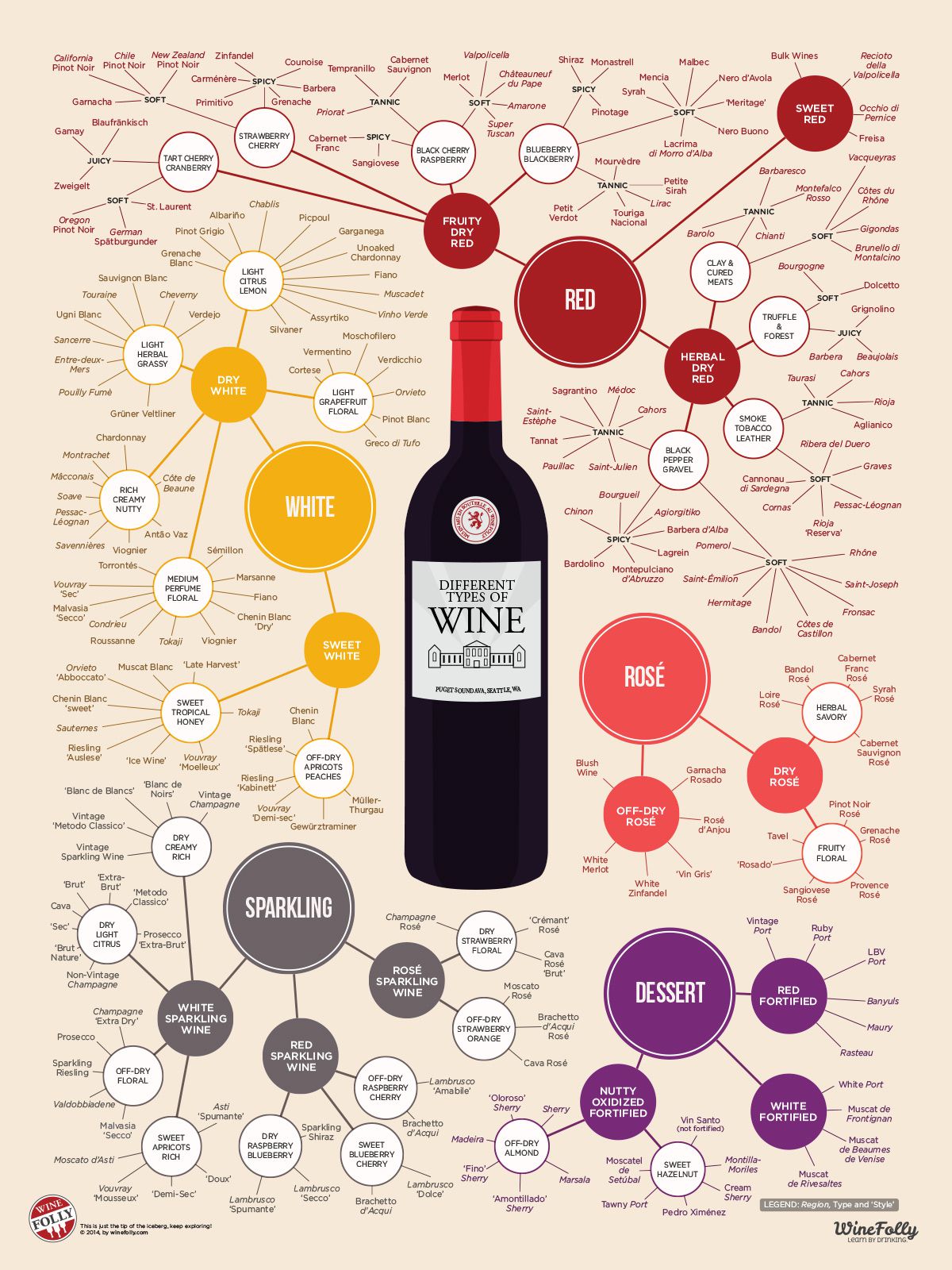 The Many Different Types Of Wine Infographic Selectus Wines