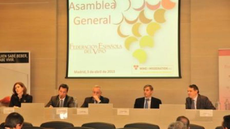 Balance de logros y avances para el sector en 2012 en la Asamblea General de la FEV