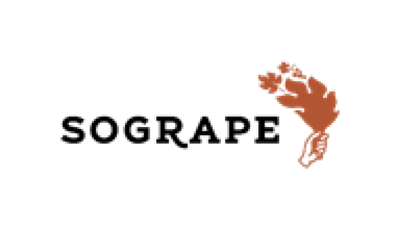 SOGRAPE recibe el premio al desarrollo económico de su zona de mercados del vino y la distribución.