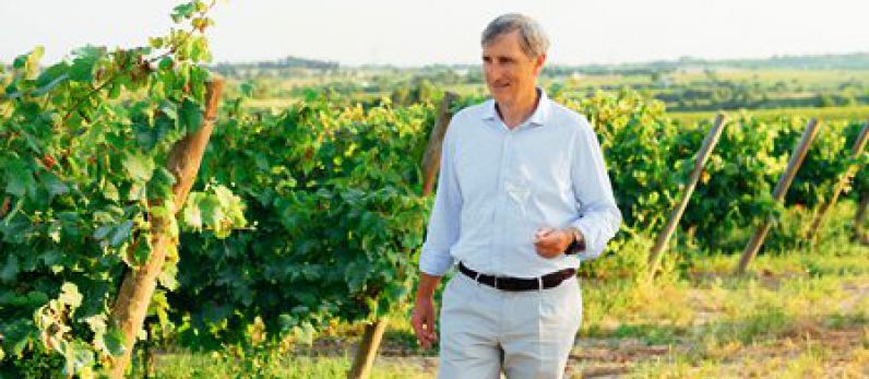 “El sector del vino debe ser aún más competitivo e innovador”