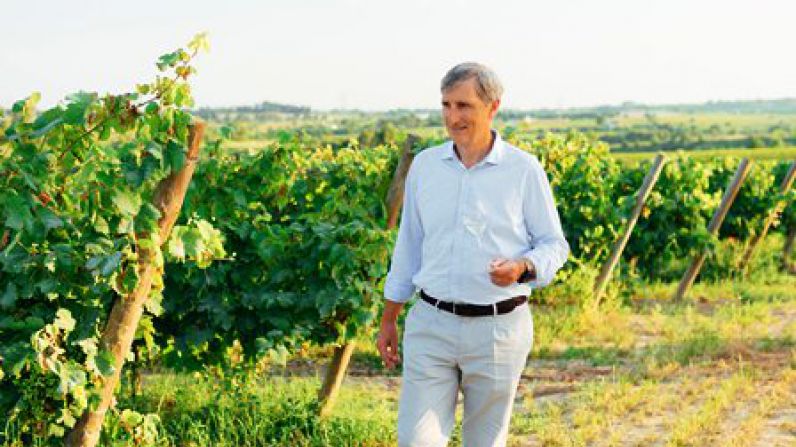 “El sector del vino debe ser aún más competitivo e innovador”