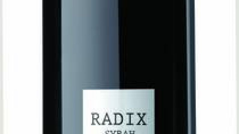 Radix 2012. Una gran añada para el rosado con alma de tinto de Parés Baltà.