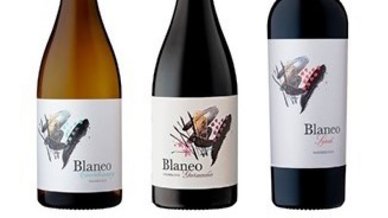 Los vinos Blaneo de Bodegas Pagos de Araiz triunfan en el informe de Tim Atkin sobre Navarra.