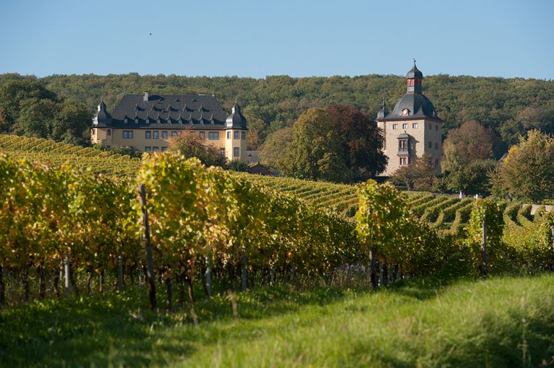 Schloss Vollrads Weingut