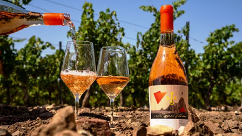 Finca Antigua presenta su nuevo vino varietal, “Cueva del Granero Orange Wine”